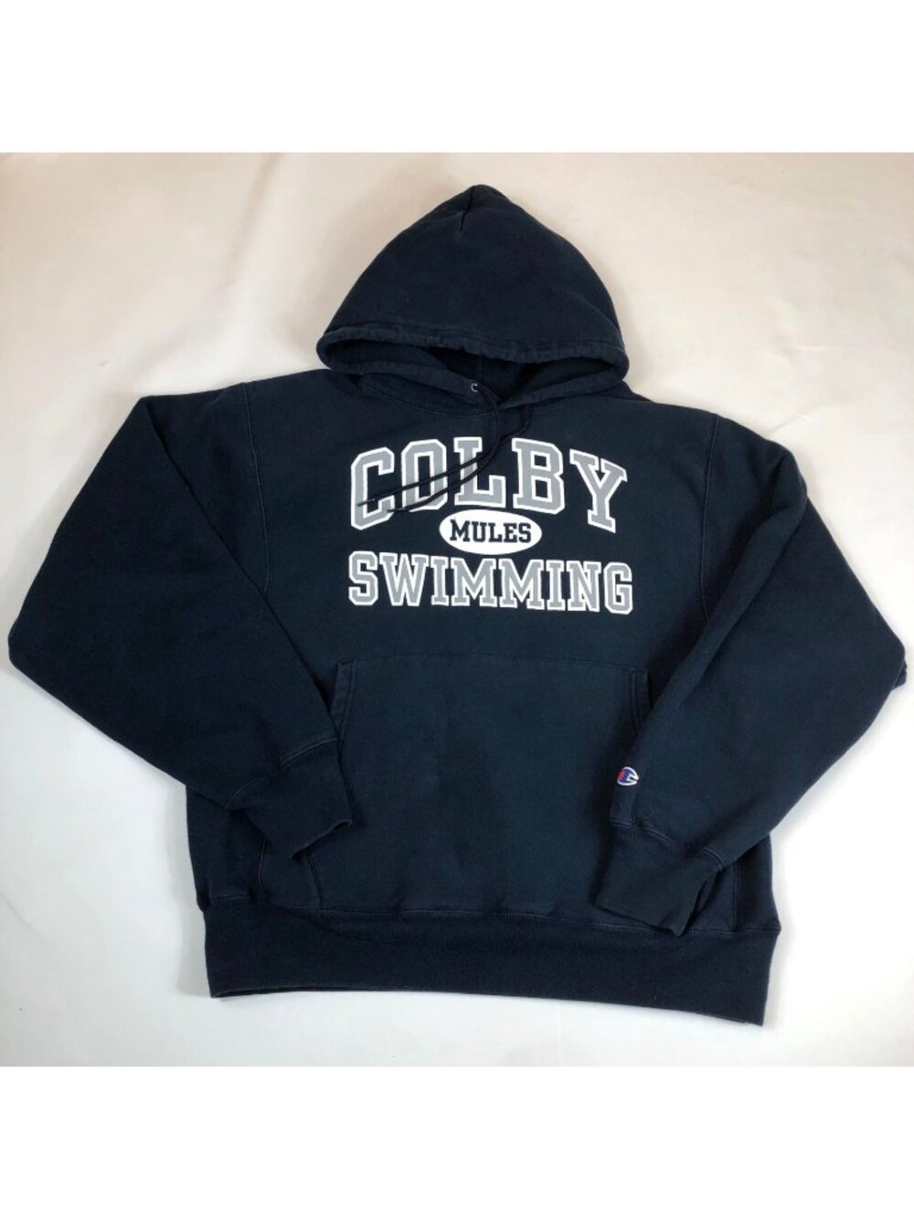 Vintage Y2K Colby College Swimming Blue Champion Reverse Weave Hoodie Sweatshirt